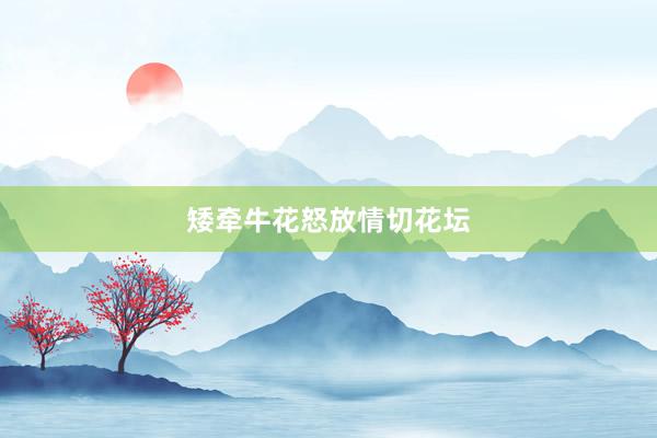 矮牵牛花怒放情切花坛